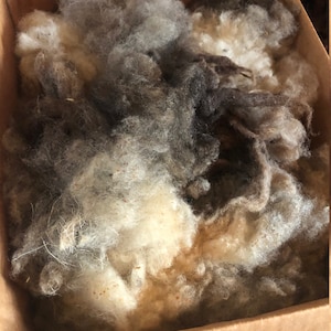 May include: A cardboard box filled with raw, unspun wool fibers in various natural shades of white, cream, gray, and dark brown. The wool appears fluffy and textured, with some visible organic debris mixed throughout the loose, tangled clumps.