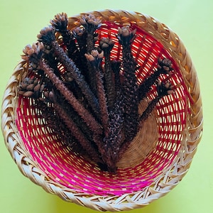 May include: A round woven basket with a red and pink interior holds several dried, dark brown plant stems. The basket has a natural, light brown color with a woven design. The background is a solid, light green color.