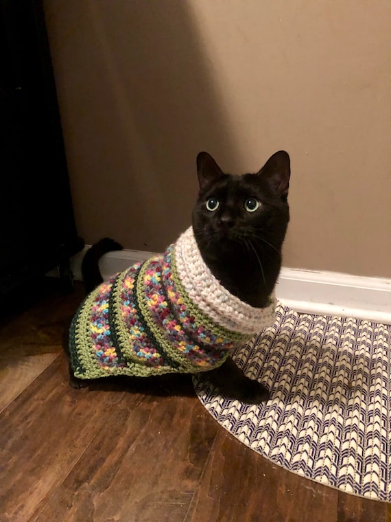 cat turtleneck