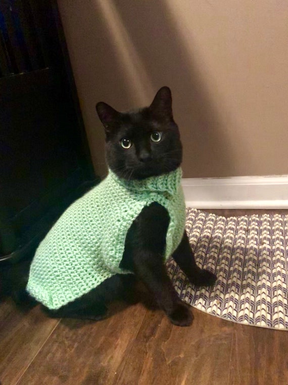 green cat sweater
