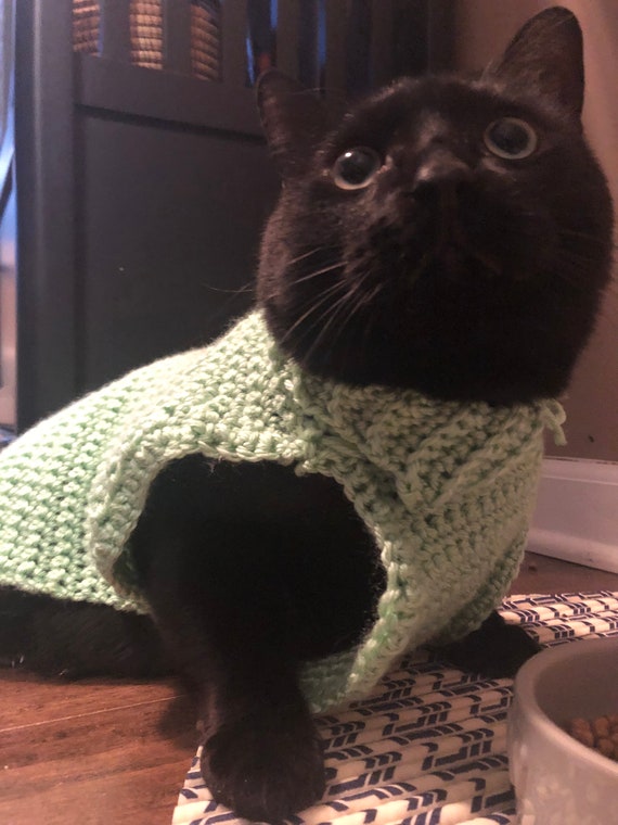 green cat sweater