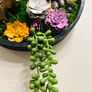 Desert succulents