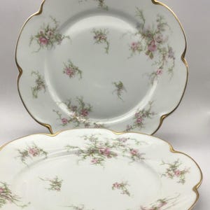 ♡リモージュ アヴィランド ルーヴシエンヌ プレート21.7㎝ ＃D