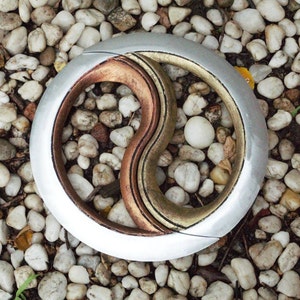 Xena - Chakram of Balance **Updated Model**