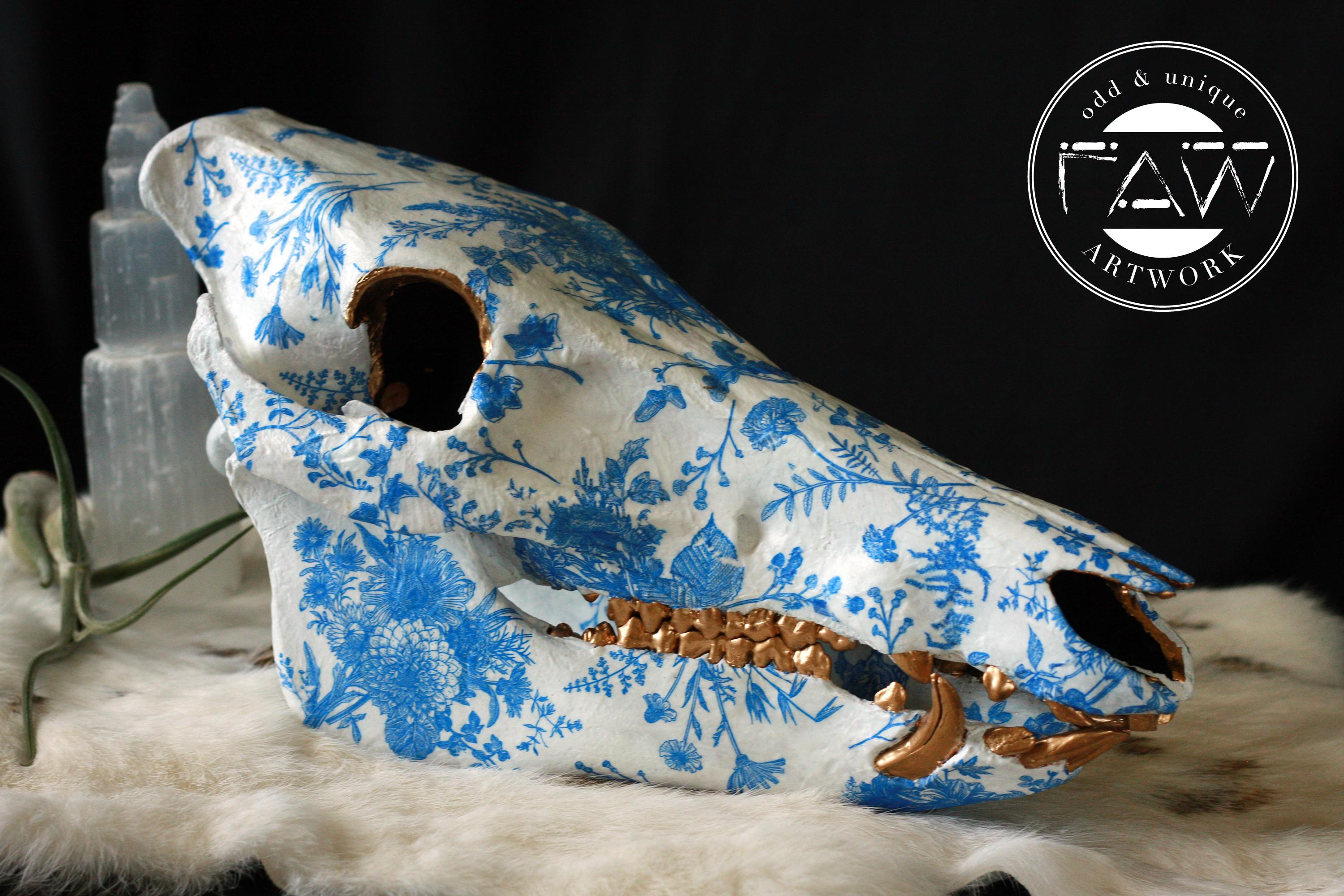 青い磁器のような本物のイノシシの頭蓋骨 - 装飾された動物の頭蓋骨