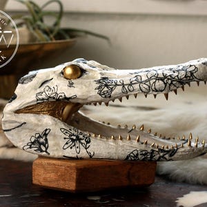 May include: A white alligator skull sculpture featuring black ink floral illustrations, a metallic gold eye, and gold-painted teeth. The sculpture is mounted on a rectangular wooden base and displays the text "odd & unique RAW ARTWORK".