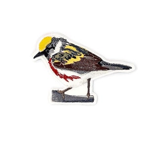 May include: An embroidered patch of a small bird with a yellow head, gray and brown wings, and a red breast. The bird is perched on a branch.