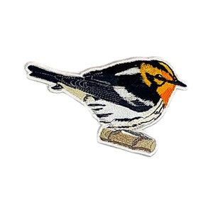 May include: An embroidered patch of a black and white bird with an orange head perched on a branch. The bird has a yellow stripe on its head and a white stripe on its chest.