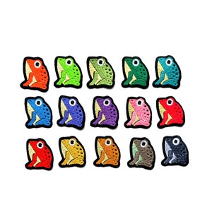 Patches de sapo coloridos, patches de sapo multicoloridos, patches de animais fofos e engraçados, passar a ferro, costurar