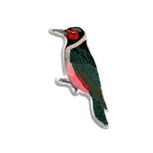 Patch Lewis&#39; specht, realistische geborduurde patch wilde vogels, naai patch wild dier