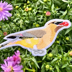 May include: A colorful embroidered patch of a bird with a red berry in its beak. The bird is yellow, brown, and gray with a white outline. The patch is perfect for adding a touch of nature to your clothing or accessories.