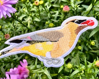 Patch jaseur cèdre, écusson brodé oiseau sauvage réaliste, écusson à coudre animal sauvage