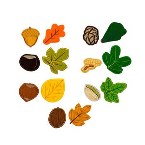 Set Waldbaum Früchte Filz Aufnäher. Aufnäher mit Eichel, Kastanien, Tannenzapfen, Haselnuss, Pistazie, Walnuss.  Gestickte Herbstblätter.