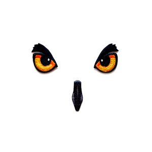 Può includere: Primo piano di un paio di occhi di gufo neri e arancioni con un becco nero sotto.