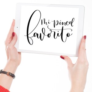 Pinceles para Procreate (Set de 4 Pinceles) + guías de práctica