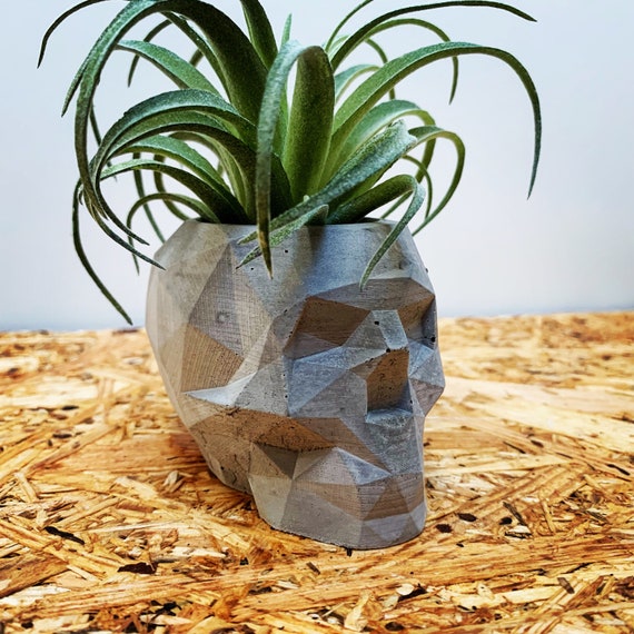 Geometric Concrete Skull | Pen Pot| Desk Accessory | Plant Pot | Cactus Pot | Succulent Pot | Gift for him | Industrial Chic |
