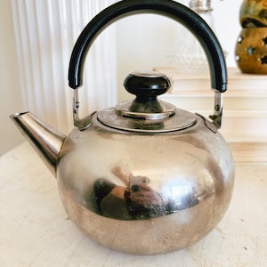 May include: A shiny, silver-toned tea kettle with a black handle and lid knob. The kettle has a rounded body and a spout. The handle arches over the top. The kettle is sitting on a white surface.