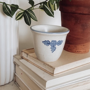 May include: A small, off-white ceramic planter with a blue floral design and a blue rim. The planter sits atop a stack of old books. A terracotta pot and greenery are in the background.