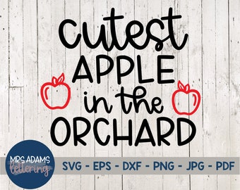 Cutest Apple in the Orchard Svg, Apple Svg, Apple Png, Fall Svg, Autumn Svg, Fall Shirt Svg, Orchard Svg, Pumpkin Patch Svg, Pie Svg