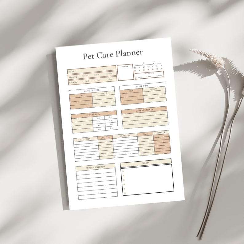 Veterinary Receptionist Gifts: Blank Lined Notebook Journal Diary Paper, A Funny And Appreciation Gift For Veterinary Receptionist To Write In (Volume 7): Press, CloudCorner: 9798735988267