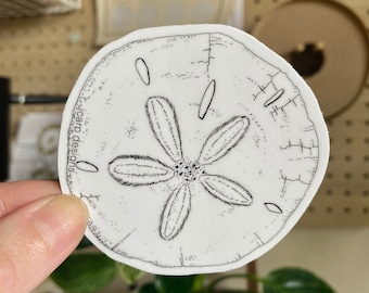Vinyl Sand Dollar Sticker, Minimal Beach Ink Line Drawing, Waterproof Water Bottle Sticker, Laptop Decal