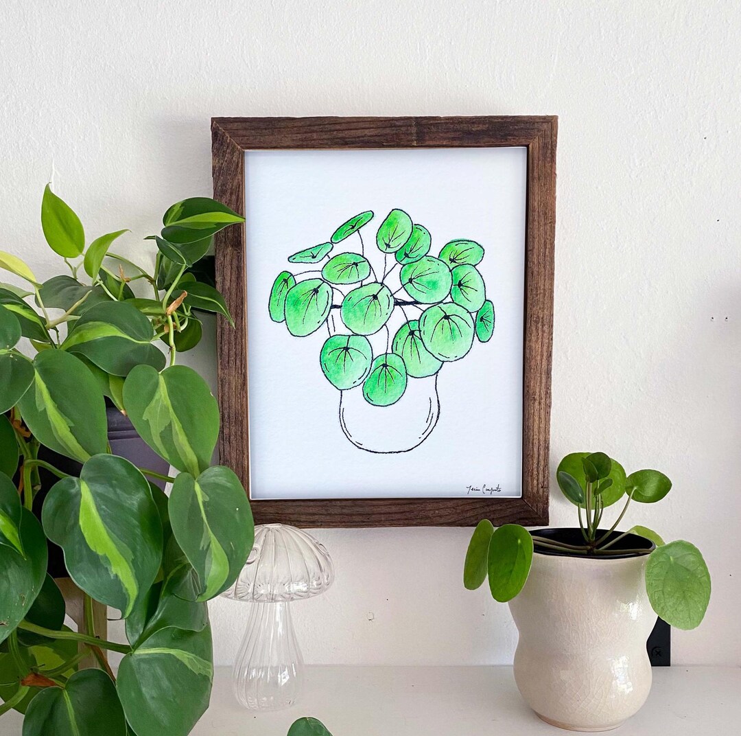 Watercolor Chinese Money Plant Art Print: Minimalist Home Decor - Etsy