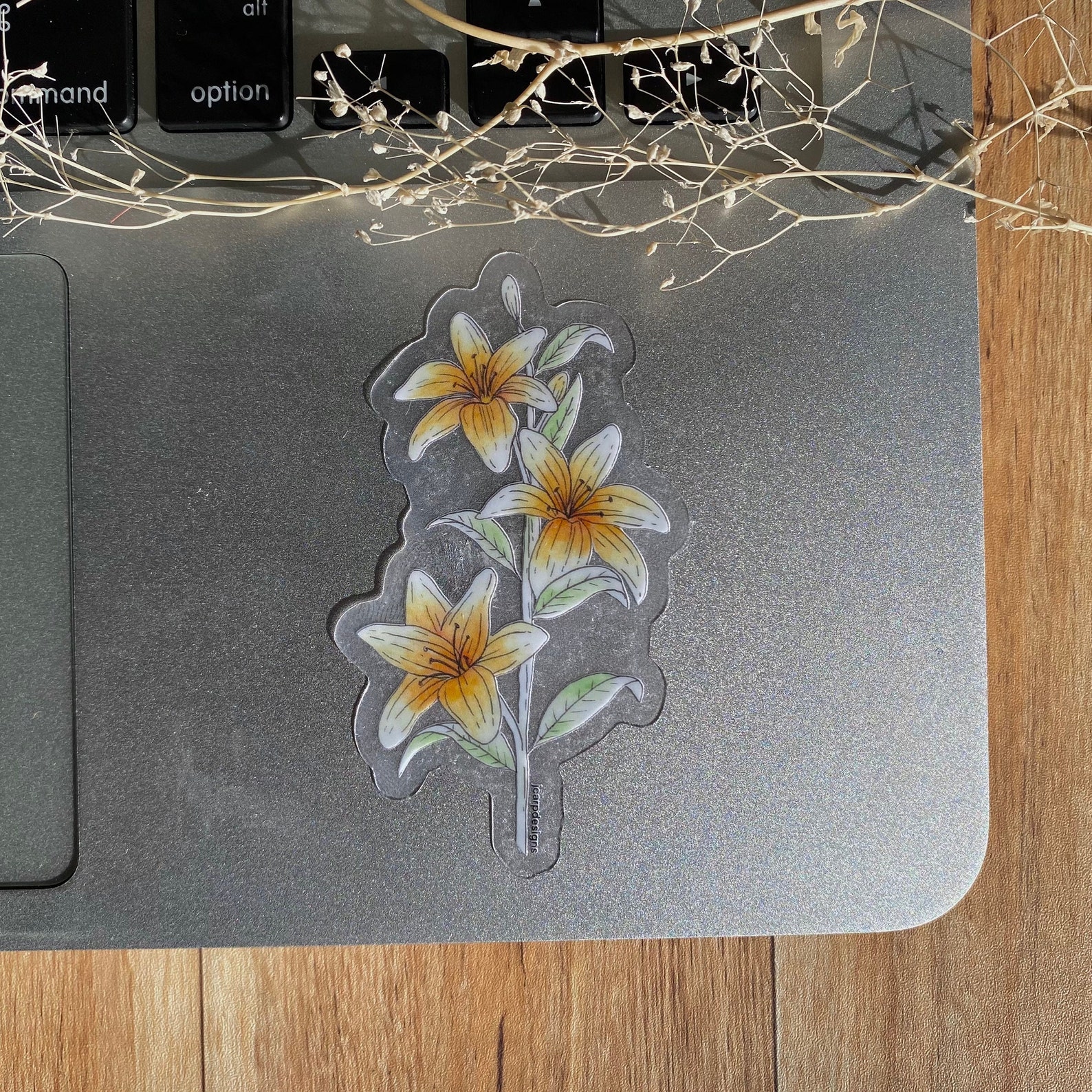 Lily's Sticker Sample Clear Lily Sticker: Botanical Vinyl Decal - Etsy