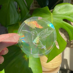 Hummingbird SUNCATCHER window sticker, rainbow making prism decal, reusable vinyl sticker