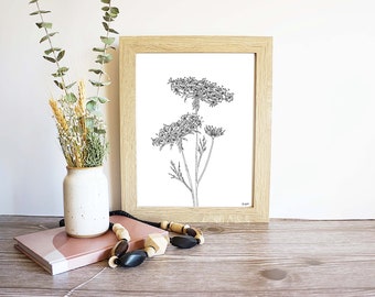 Queen Annes Lace Art Print: Minimalist Botanical Line Art