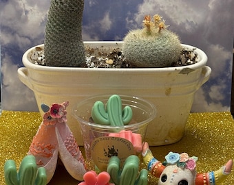 Cactus Flower Wax Melts