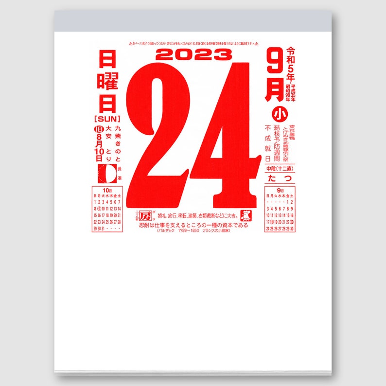 xl-japanese-daily-wall-calendar-11-2023-edition-etsy
