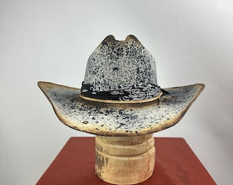 Paint Horse Black Western