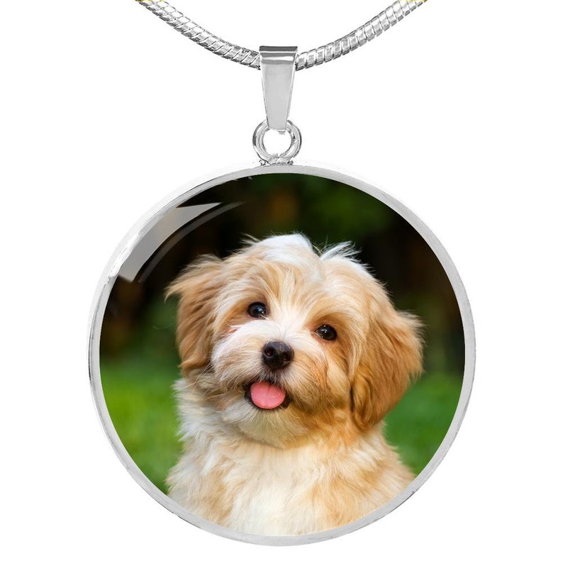Custom Necklace With Your Dog's Photo Etsy