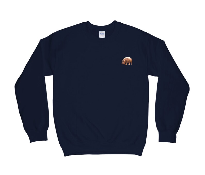 Hippopotamus Sweatshirt Cute hippo Sweater Hippopotamus | Etsy