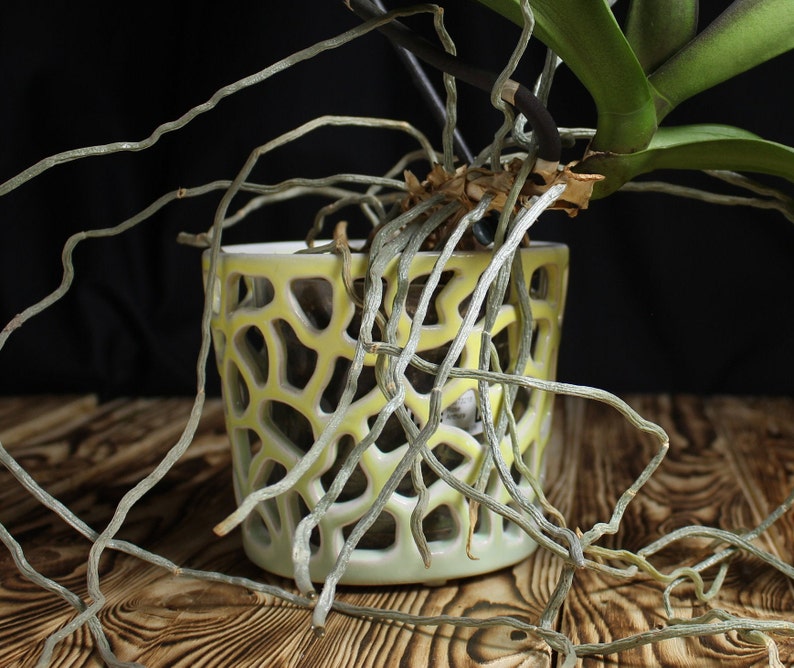 Large Orchids Pot Ceramic Pot for Orchids Openwork ceramic pot Etsy