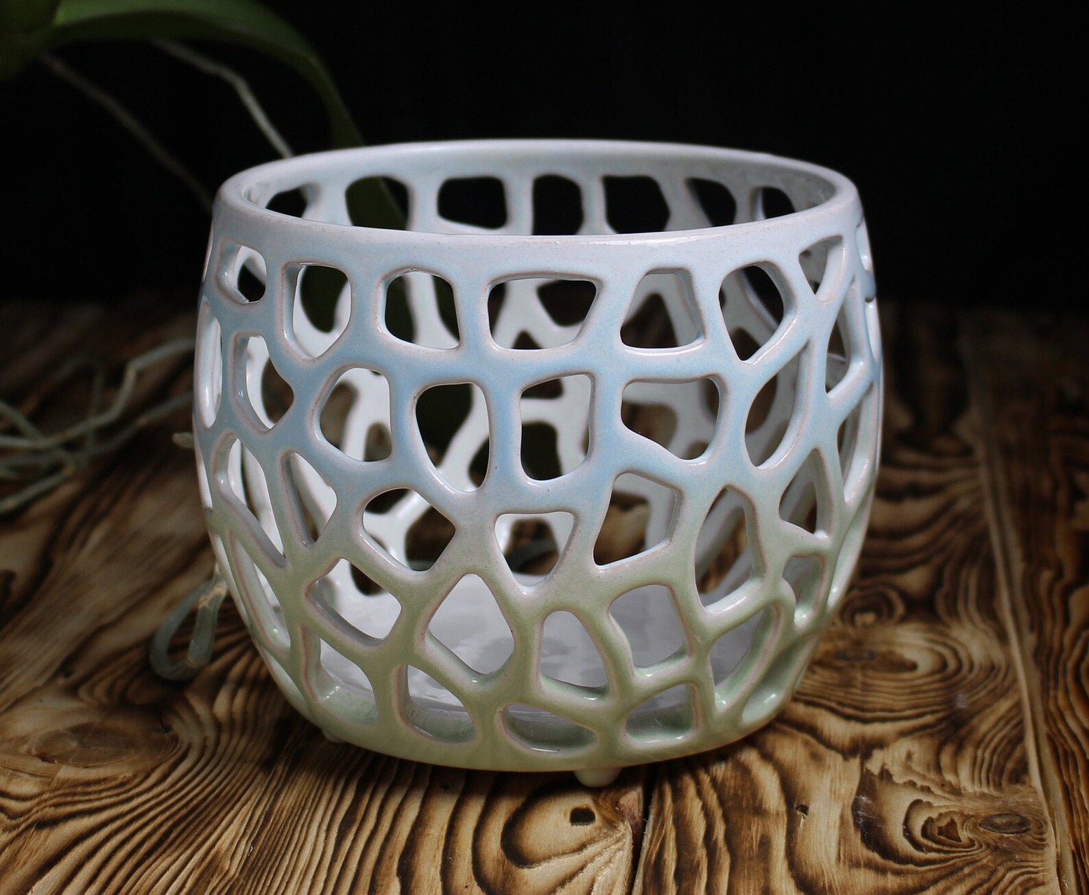 Large Orchid Pot 5 Openwork ceramic pot with holes Fine Etsy