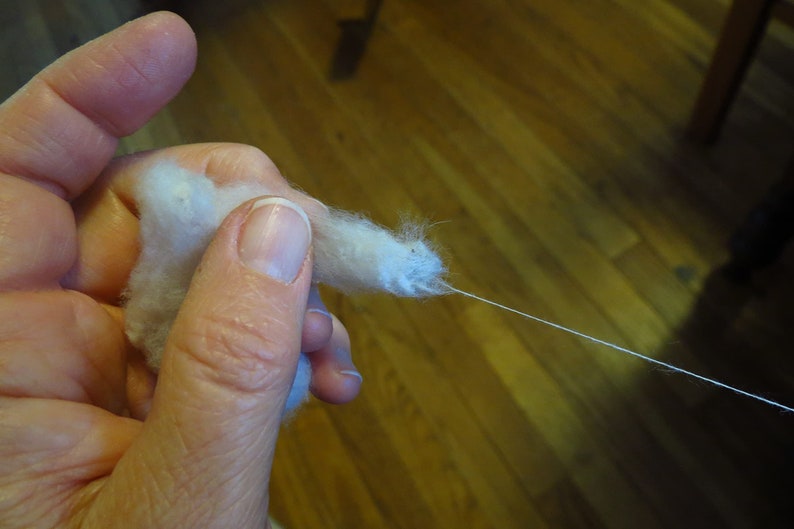 May include: A hand holding a clump of white cotton fiber with a thin white thread extending from it.