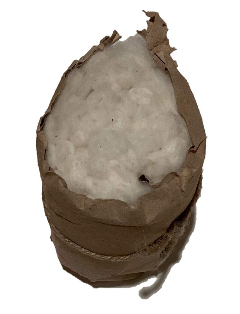 May include: A brown paper bag filled with white cotton balls, tied with twine.