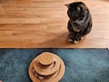 Bamboo Cat Toy, Ball and Track, Turntable and Ball Set, Single Tier Levels, Eco Cat Toy, Kitten Toy, Fun Mental and Physical Exercise