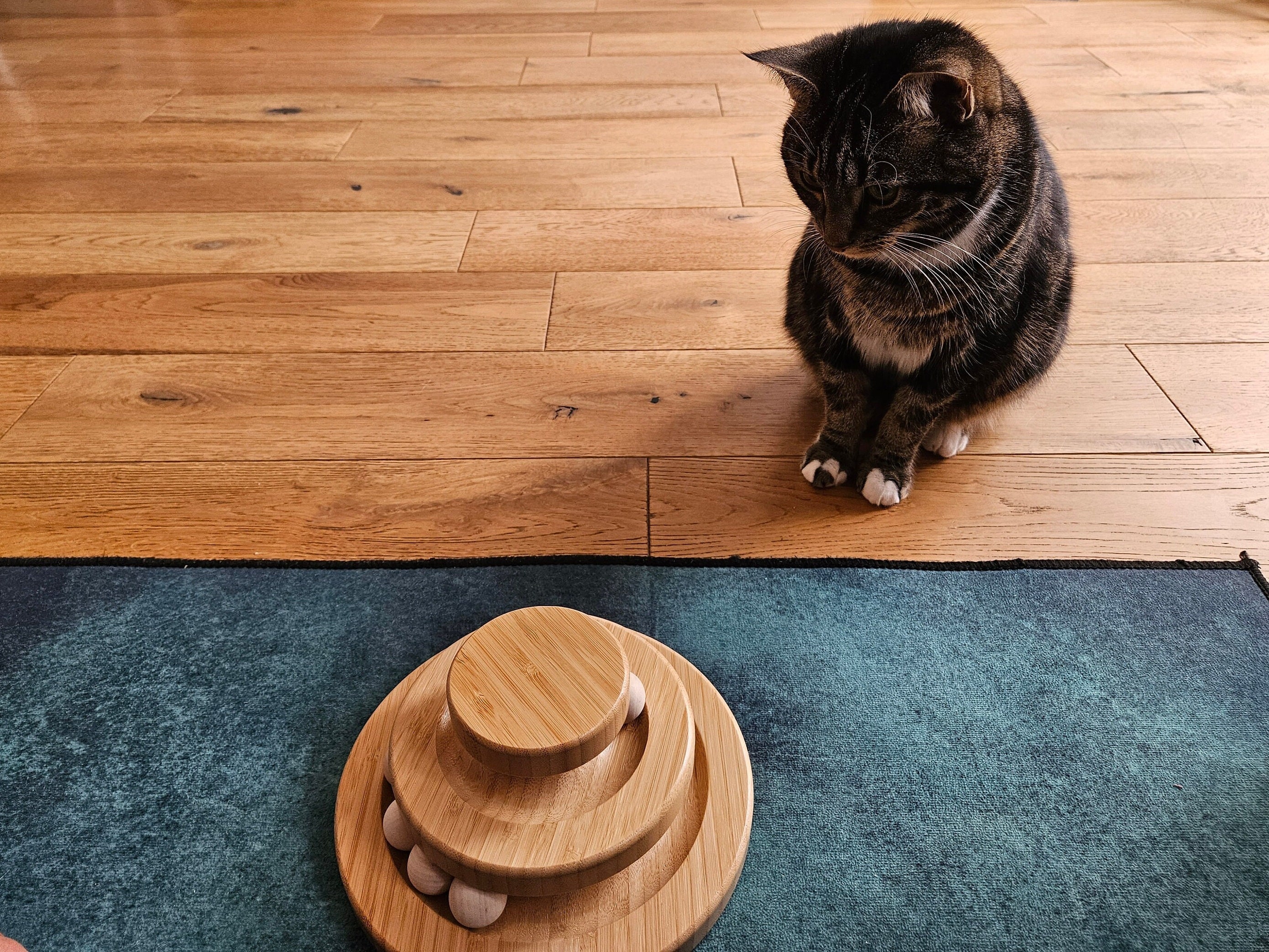 Bamboo Cat Toy, Ball and Track, Turntable and Ball Set, Single Tier Levels, Eco Cat Toy, Kitten Toy, Fun Mental and Physical Exercise