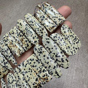 Par de pedras preciosas de jaspe dálmata cabochão, lote de atacado com diferentes formatos e tamanhos usados para fabricação de joias.