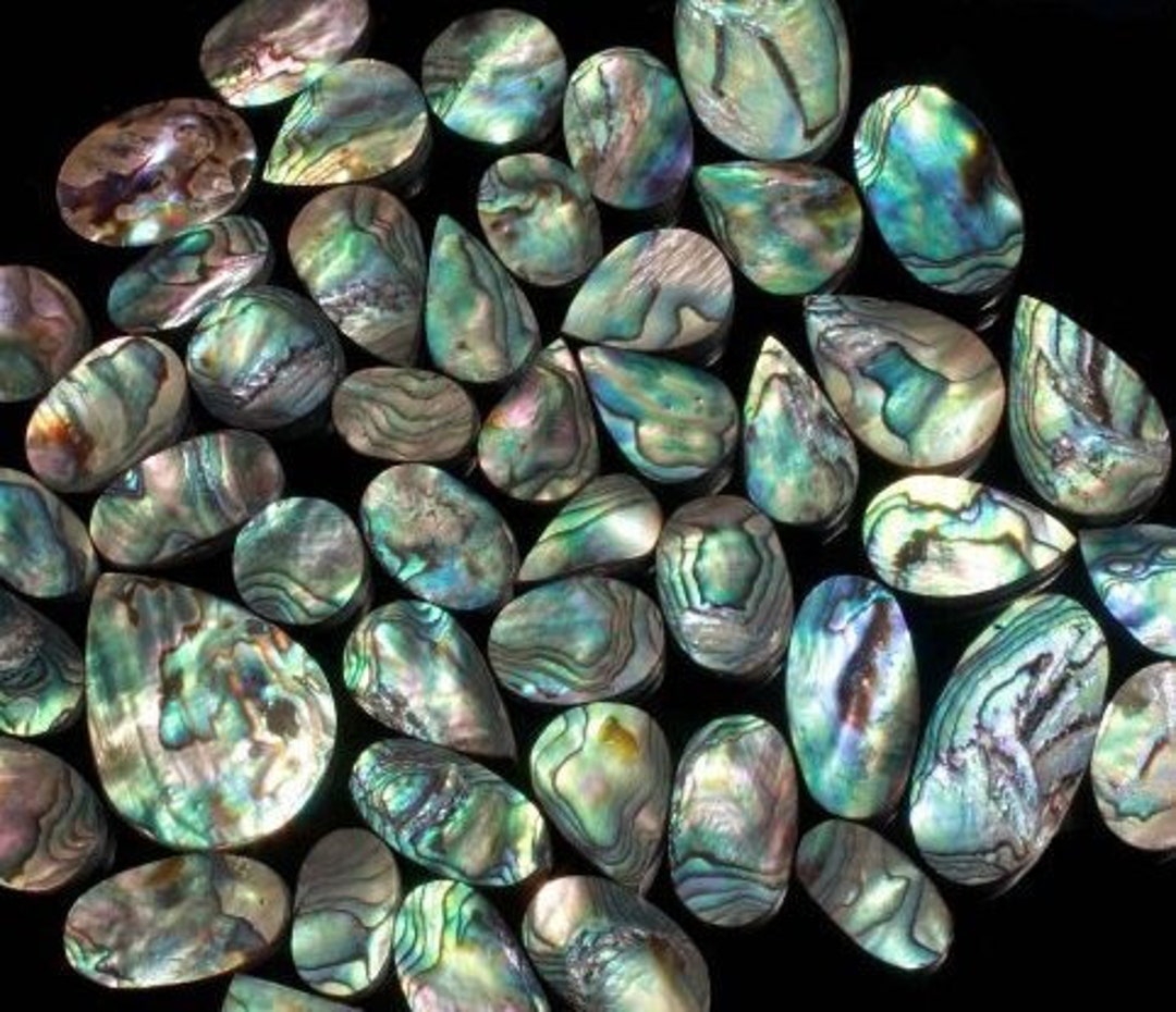 Abalone Shell Bulk and Lot per Kilo Gram Abalone Shell Rare Etsy