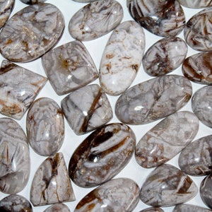White Horse Jasper Kilo gram Cabochon Gemstone Lot, Mix Shape Stone Wholesale Wild Horse Jasper Gemstone. Alle grootte.