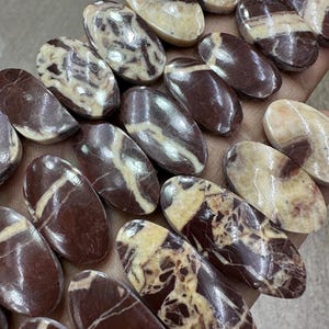 Coppia di cabochon di diaspro caffè. Lotto all'ingrosso di pietre preziose di diaspro caffè di diverse forme e dimensioni, utilizzate per la creazione di gioielli.