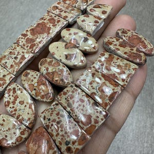 Par de cabochões de asteroides jaspe Par de caboschões de asteroides pedras preciosas lote por atacado com diferentes formatos e tamanhos usados para fabricação de joias.