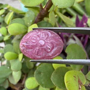 Puede incluir: Una gema rosa con un diseño floral tallado es sostenida por unas pinzas contra un fondo de follaje verde y púrpura. La gema tiene forma ovalada y presenta un patrón floral detallado en relieve.