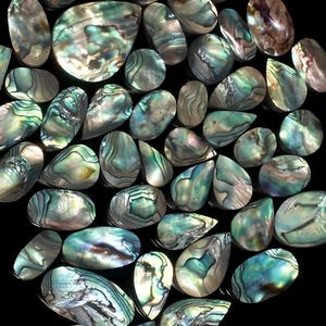 Concha de Abalone, a granel e lote por quilograma Concha de Abalone Cabochão de qualidade rara Preço de atacado Tamanho misto. Formato Concha de Abalone Lote para joias.
