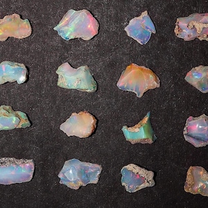 May include: A collection of 16 rough opal stones, each with a unique iridescent sheen and color, displayed on a black surface.