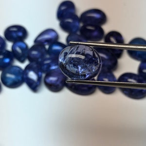 May include: A collection of polished, deep blue gemstones, with one held by tweezers. The gems vary in shape, including oval and teardrop forms. The lighting highlights the internal structures and color variations within the stones.