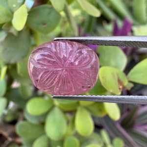 Puede incluir: Una gema redonda y rosa con intrincados patrones florales tallados, sostenida por pinzas plateadas. La gema translúcida revela los detalles tallados. El fondo presenta follaje verde y morado.